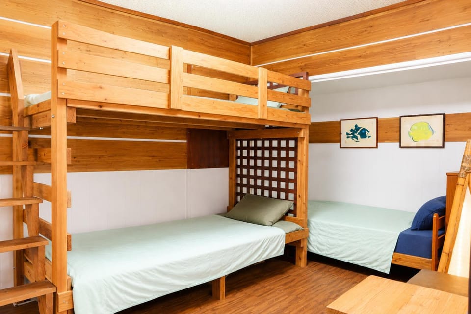 Bed, Photo of the whole room, Bedroom, bunk bed