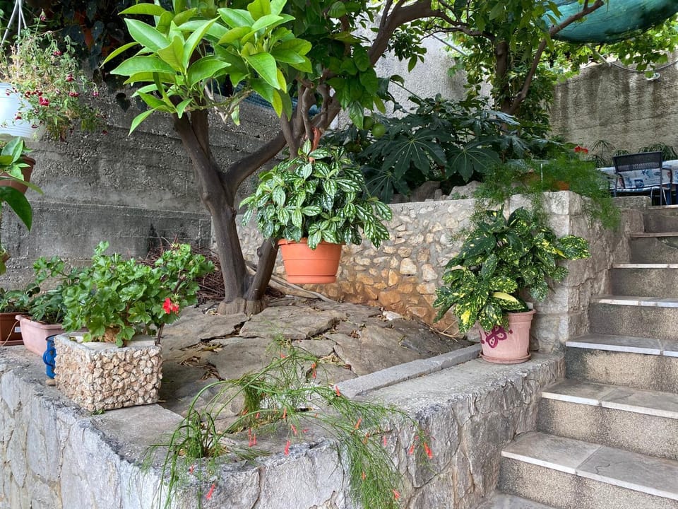 Garden view
