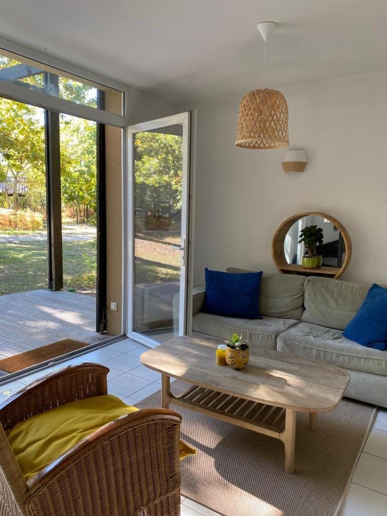 Garden, Living room, Seating area, Garden view