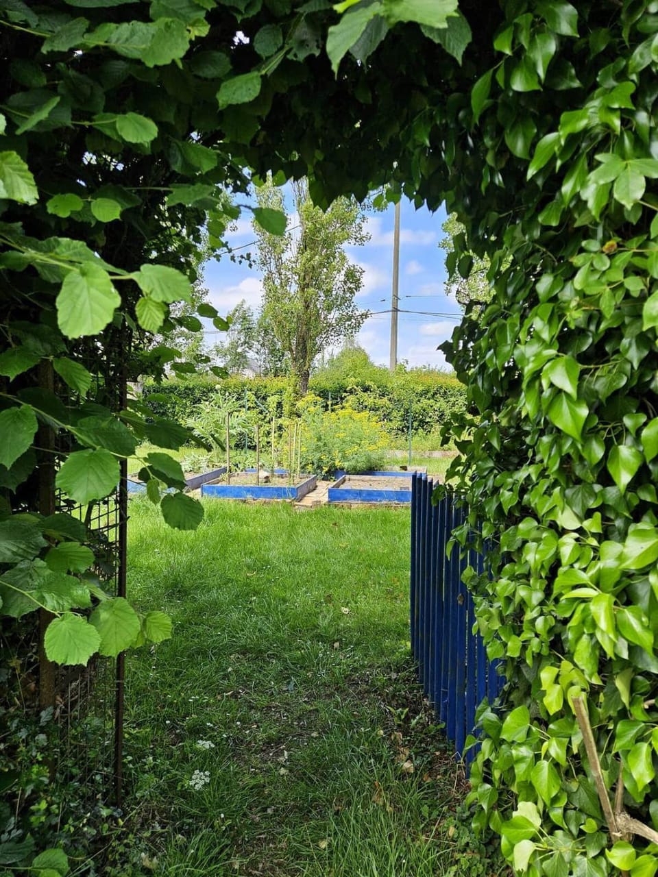 Maison Lyberti 12 pers SPA et Grand jardin House in Normandy