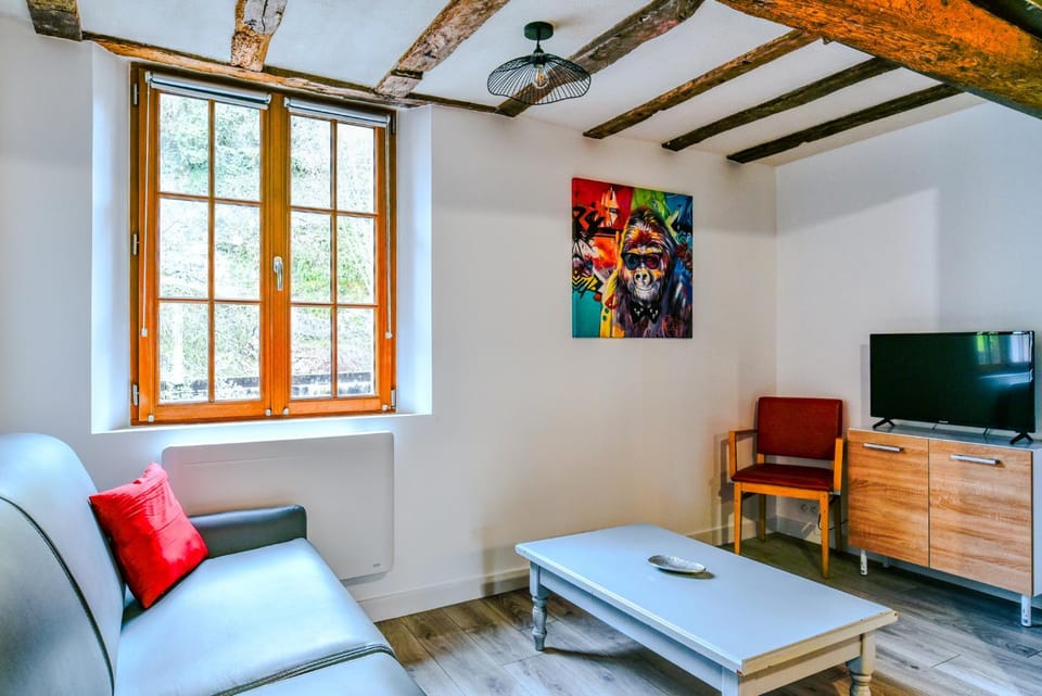 Appartement T2 Centre & Château Wifi Netflix Apartment in Saumur