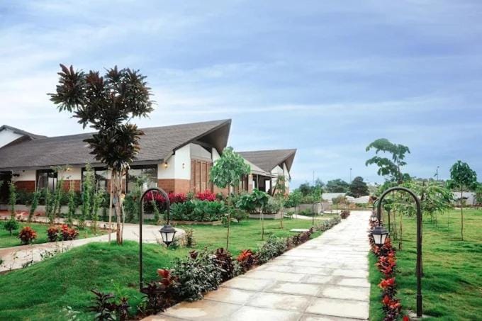 Garden view