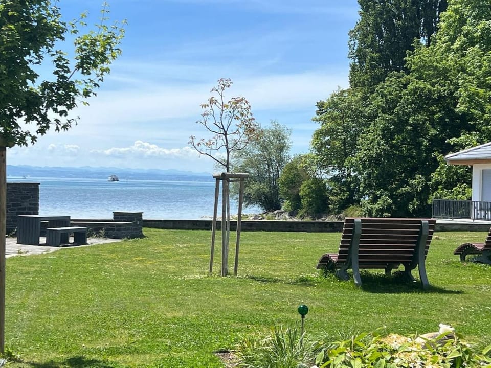 Lake view