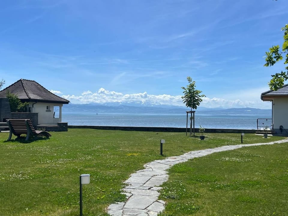 Lake view