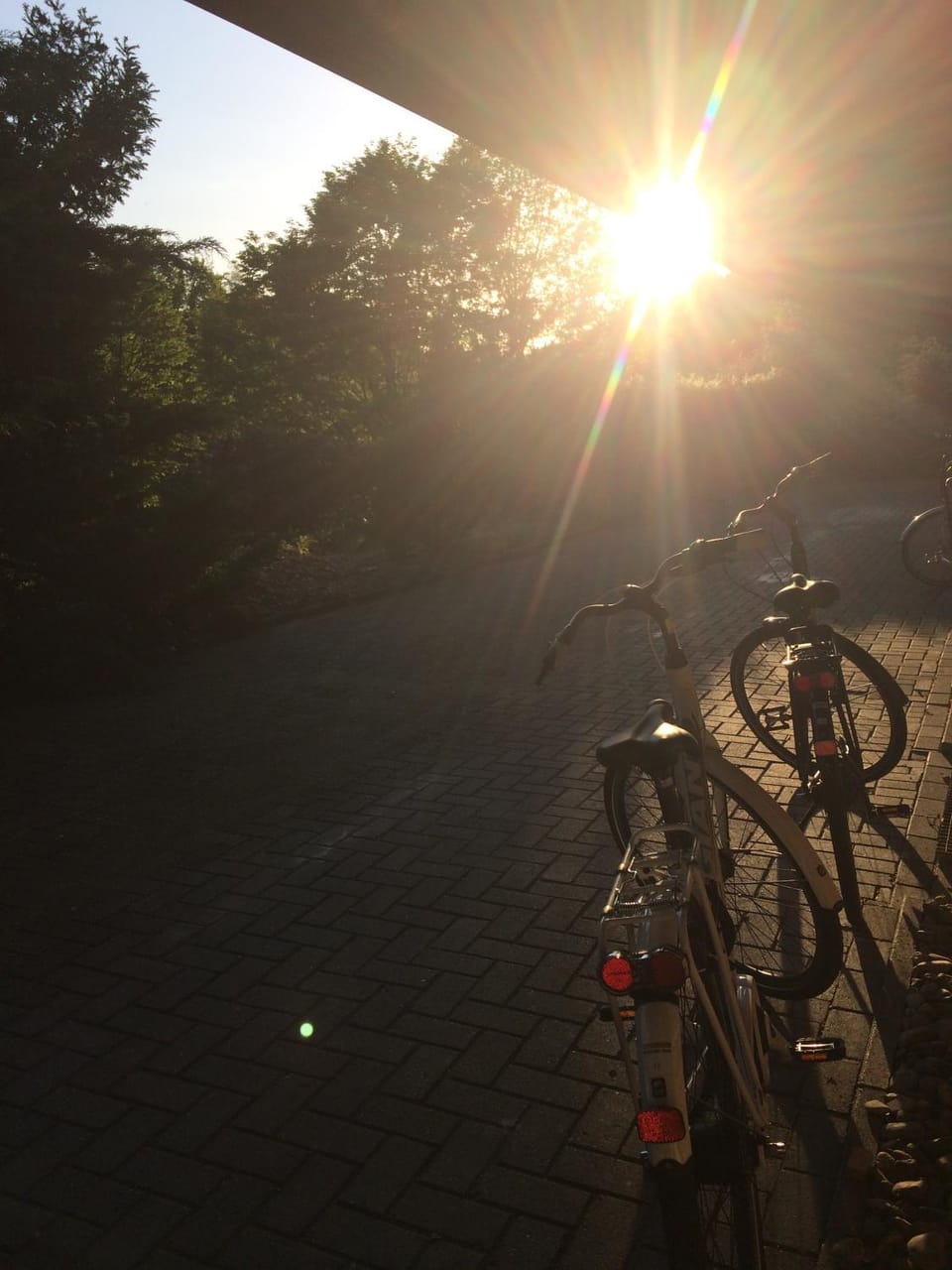 Cycling, Sunset