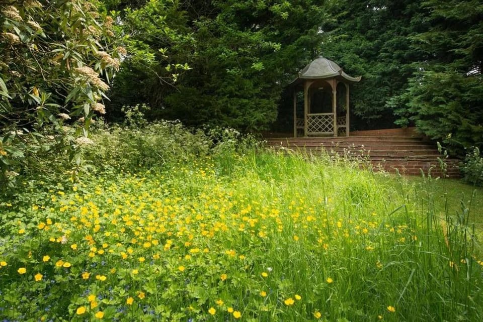 Westview, Beautiful Country House near Cambridge House in Uttlesford