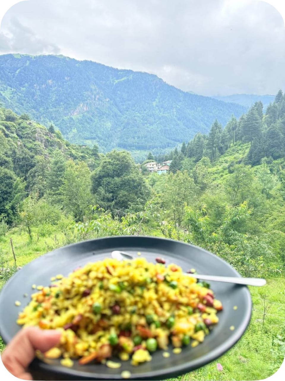 Apni Jagah Hostel in Manali