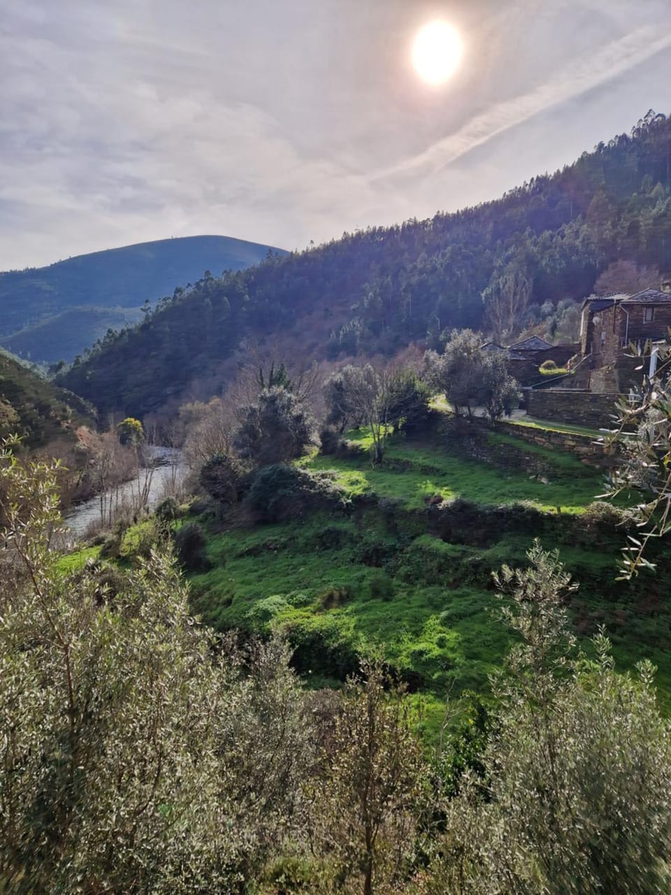 Natural landscape, On site, River view