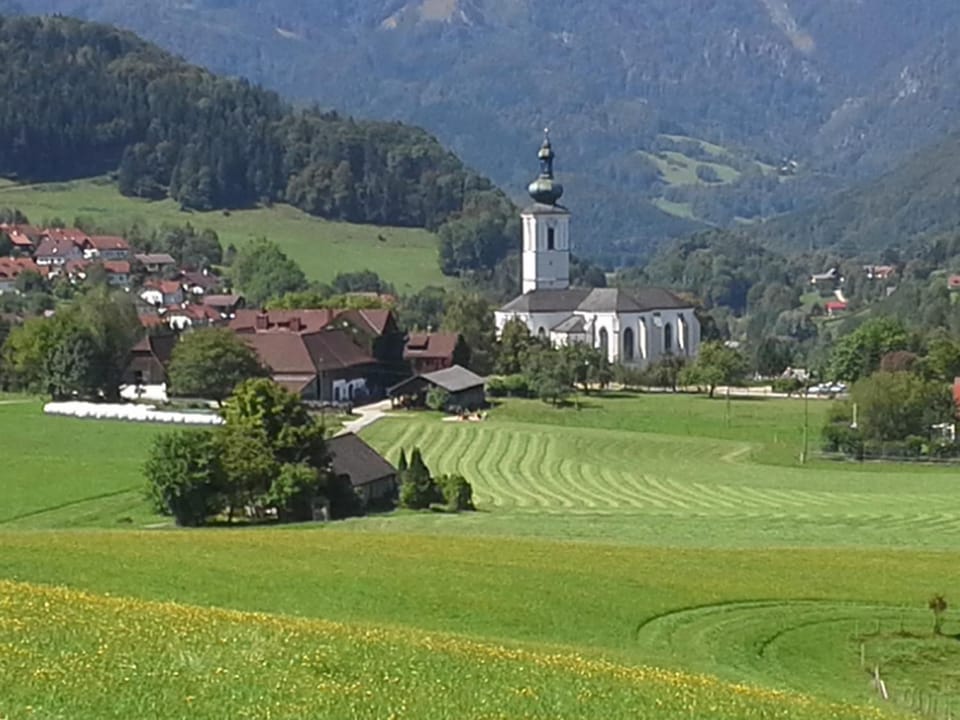Natural landscape, View (from property/room)
