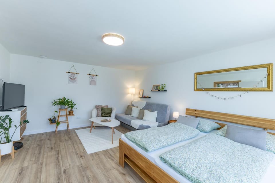 Bed, TV and multimedia, Living room, Seating area, Bedroom
