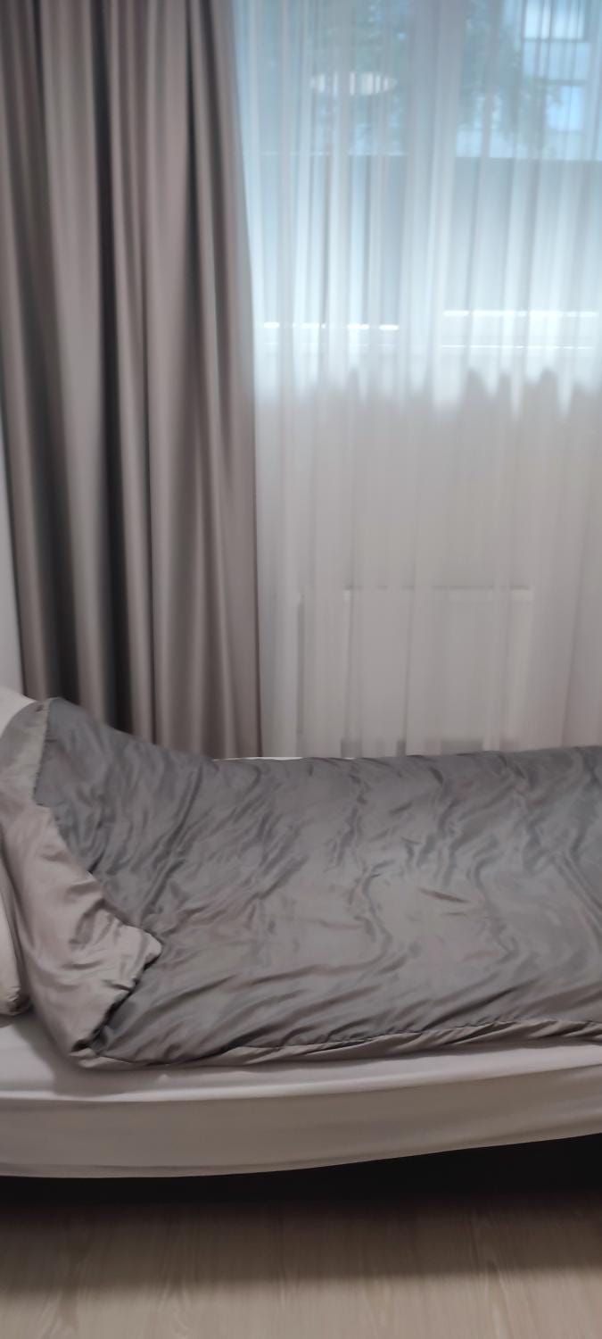 CentralCheapFlat Apartment in Vilnius