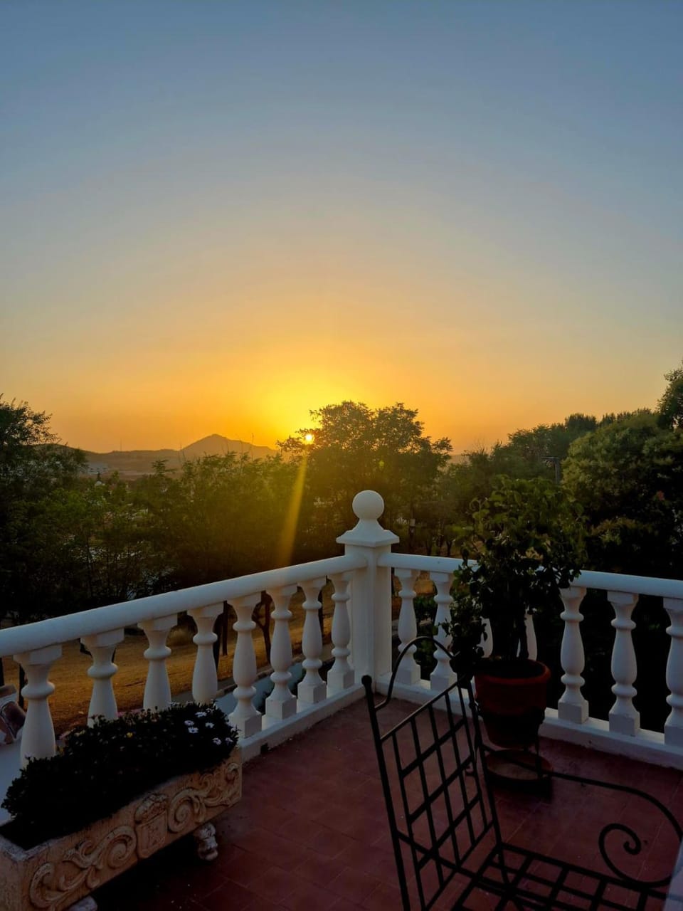 Balcony/Terrace