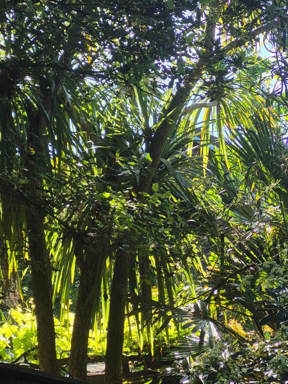 Garden, Garden view