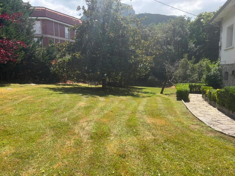 Spring, Day, Natural landscape, Garden, Garden view, Mountain view