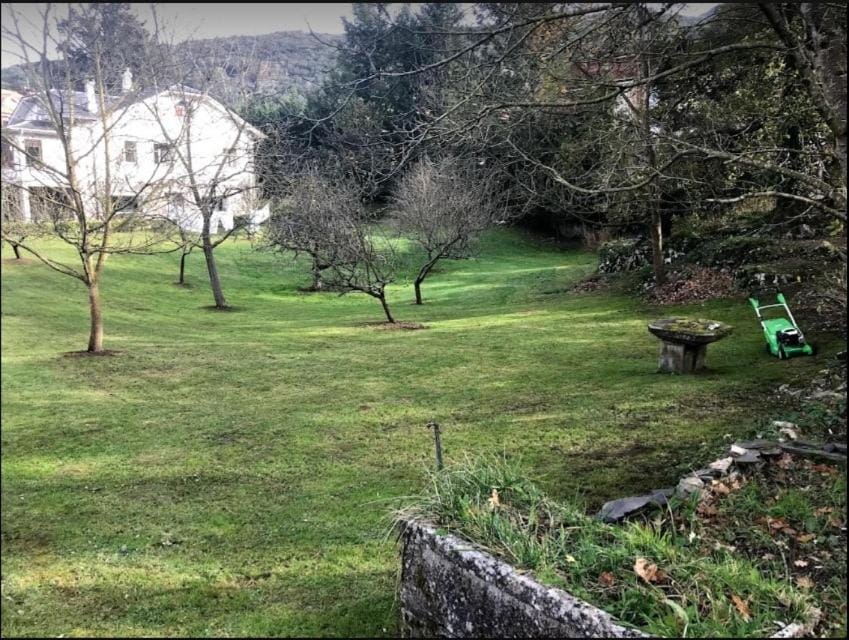 Spring, Day, Natural landscape, Garden, Garden view