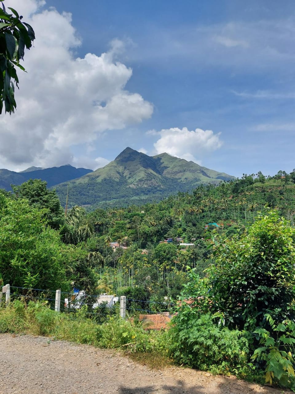 VIHA The Heaven - Apartment Apartment in Kerala