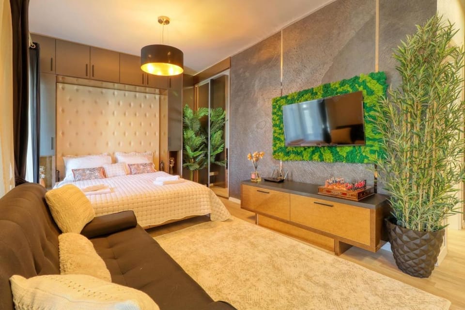Cozy Studion near Herastrau Park Apartment in Bucharest