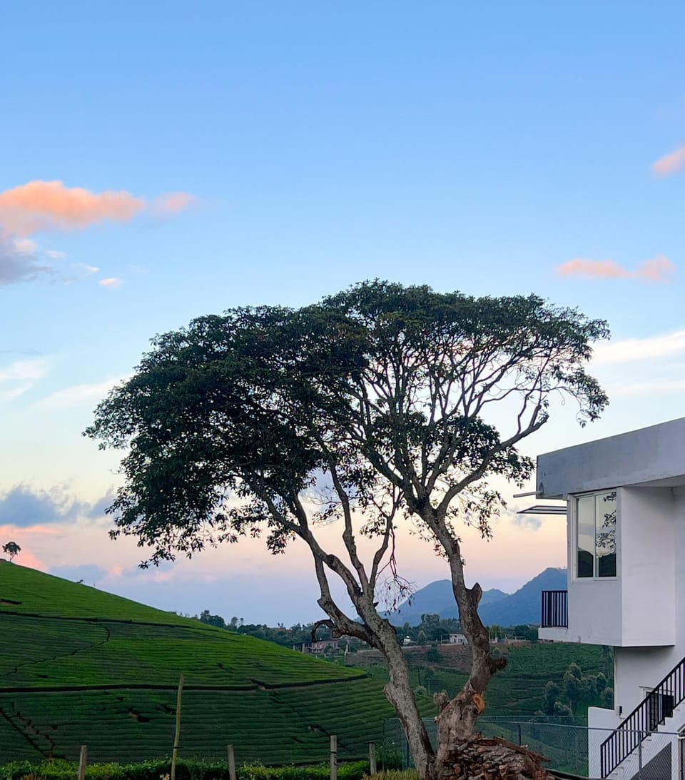 Natural landscape, Mountain view