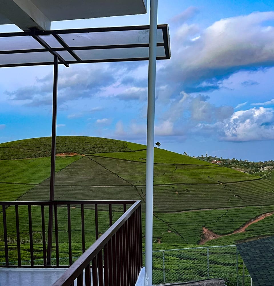 Natural landscape, View (from property/room), Balcony/Terrace, Mountain view