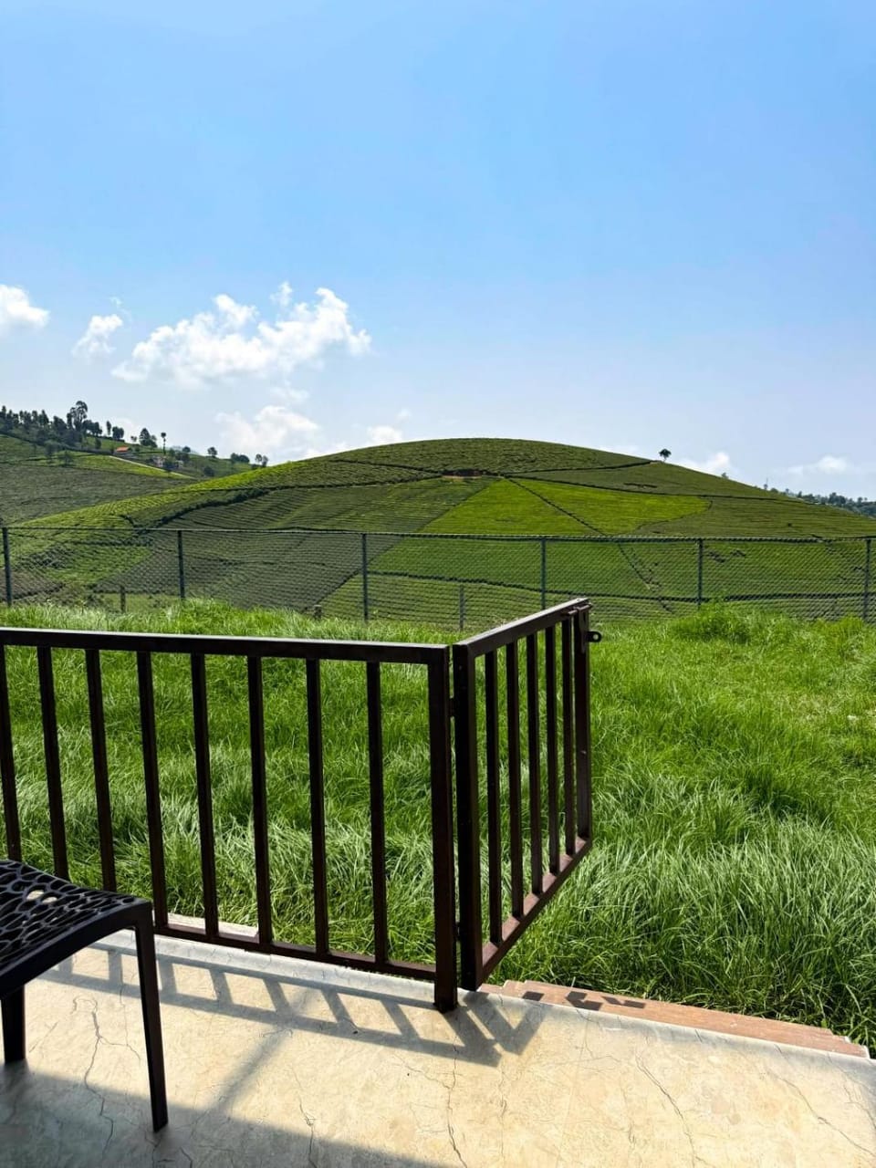 Natural landscape, Garden view