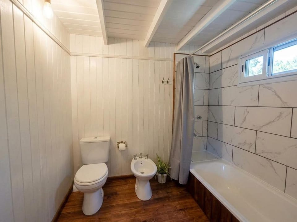 Shower, Toilet, Bathroom, Bath, towels