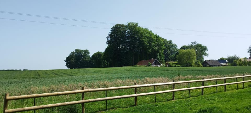 Natural landscape