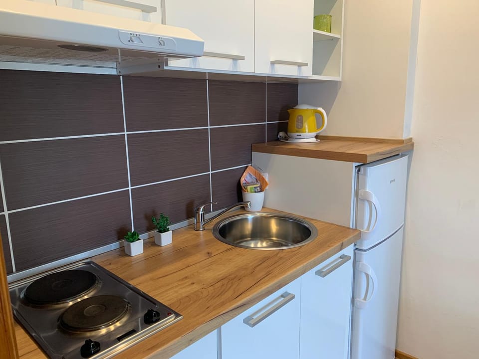 Sea view studio apartment Apartment in Novi Vinodolski