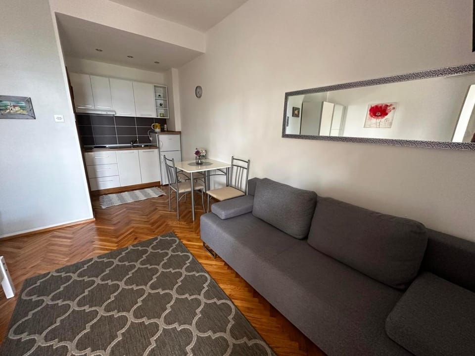 Sea view studio apartment Apartment in Novi Vinodolski