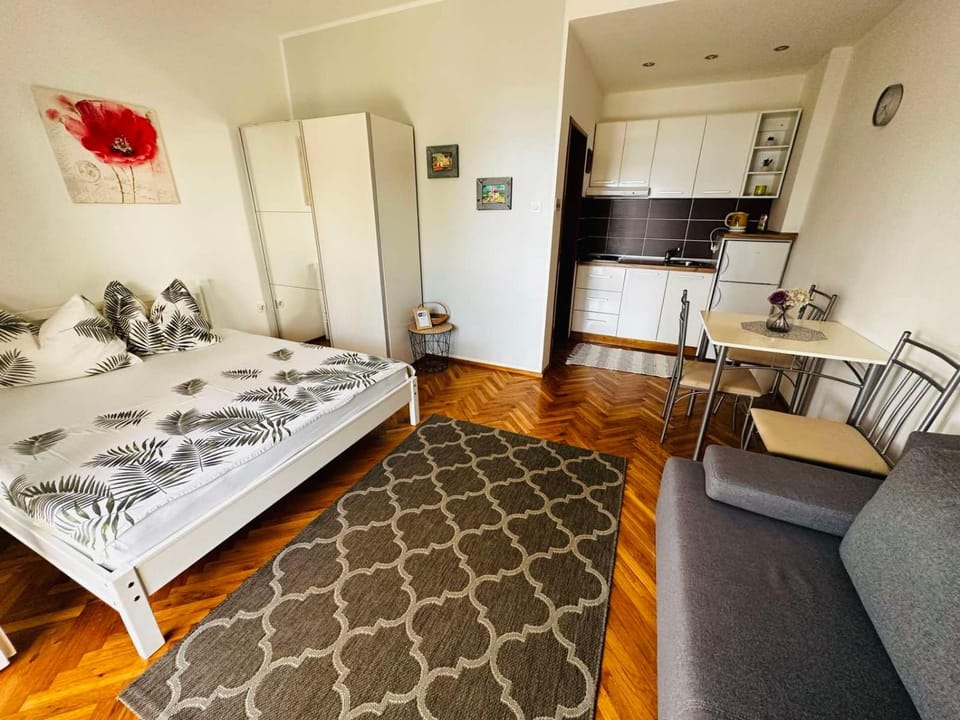 Sea view studio apartment Apartment in Novi Vinodolski