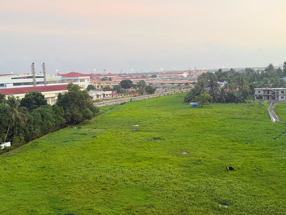 Lake view