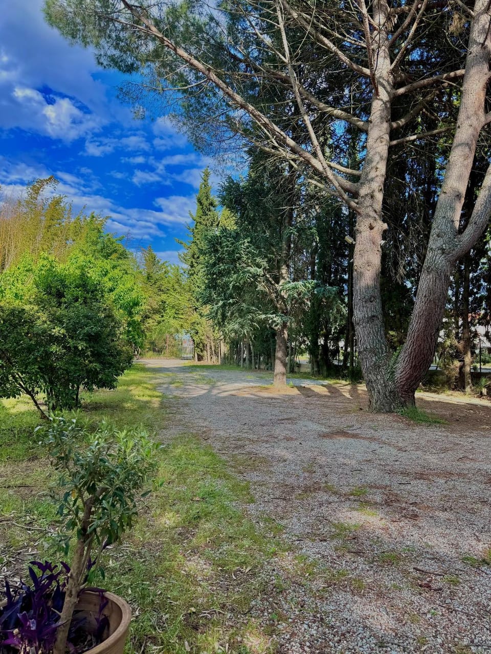 La fauvelle D Apartment in Occitanie