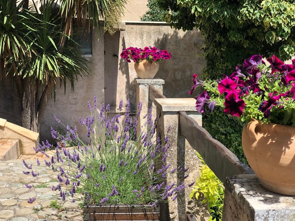 Garden, Garden view