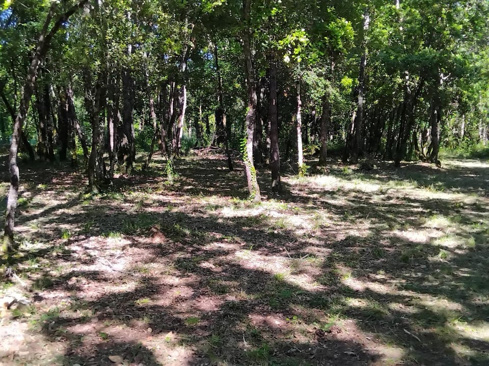N1 Emplacement tente van camping-car Campground/ 
RV Resort in Occitanie