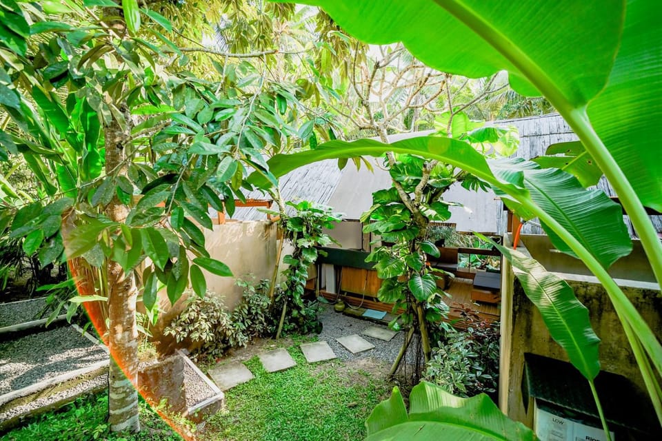 Patio, Spring, Day, Natural landscape, Garden, Garden view