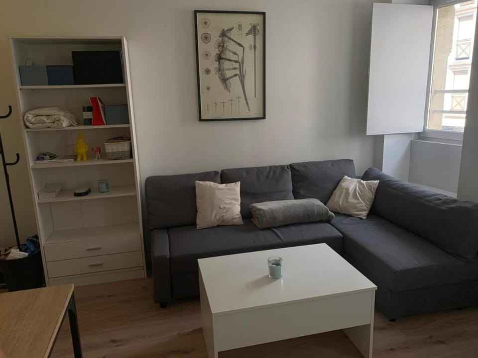 Appartement 1 chambre - climatisation - chartrons Apartment in Bordeaux