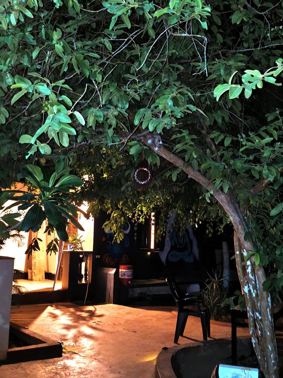 The Roots pushkar Farm Stay in Rajasthan