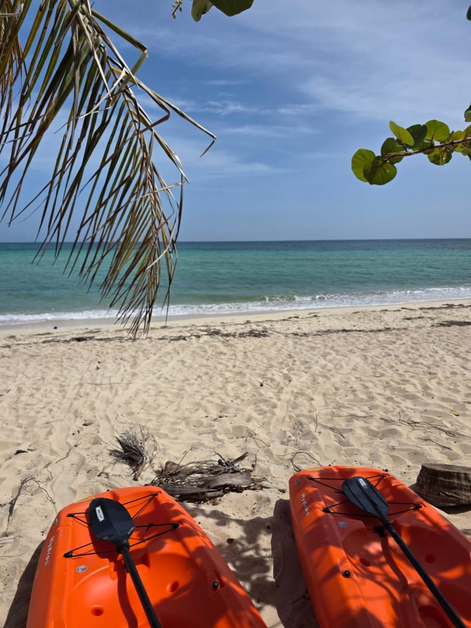 Camp Bay Apt with Hot Tub & Beach Walk Apartment in Bay Islands Department