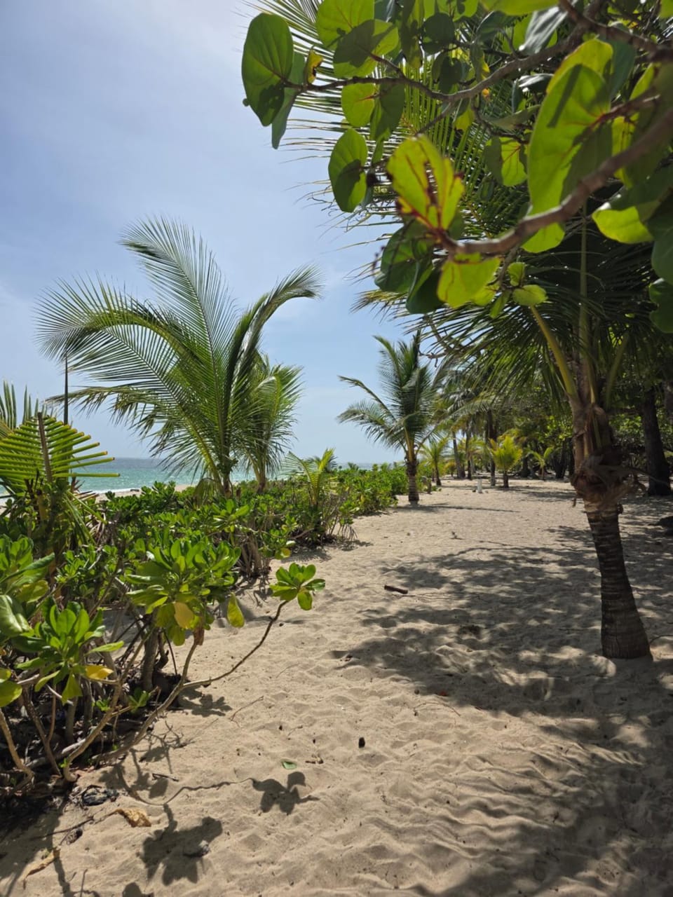 Camp Bay Apt with Hot Tub & Beach Walk Apartment in Bay Islands Department