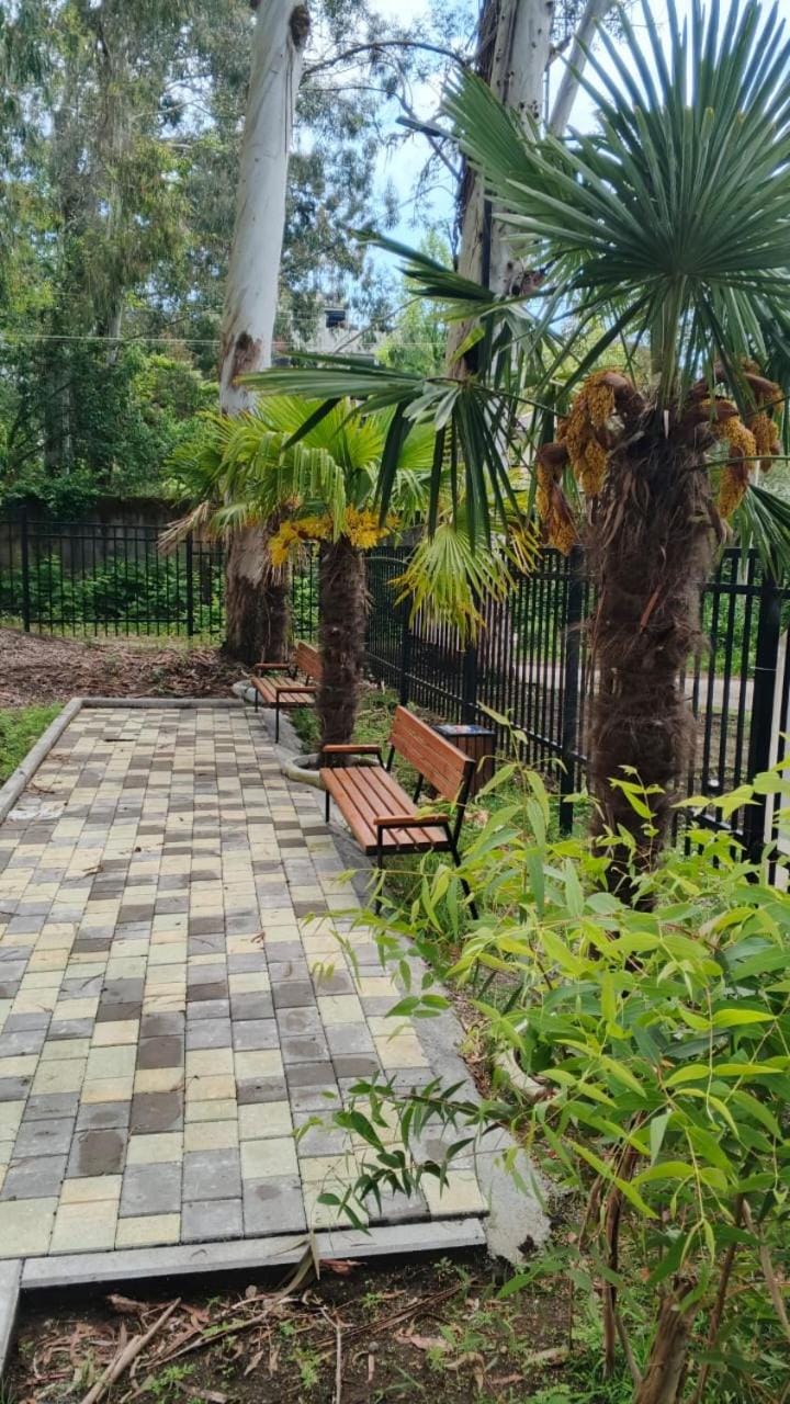 Garden, Garden, Garden view