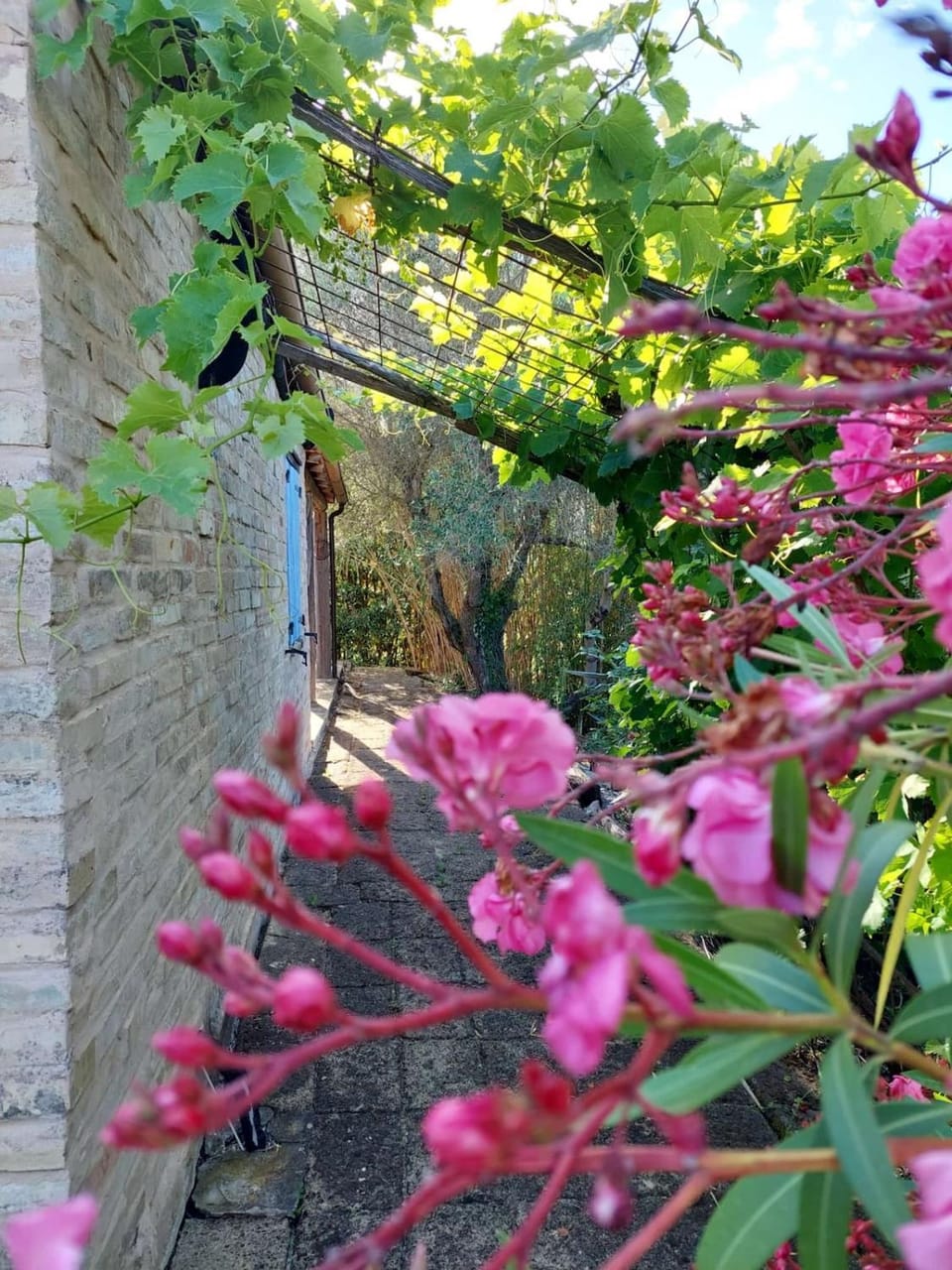 Capanna Margherita House in Marche