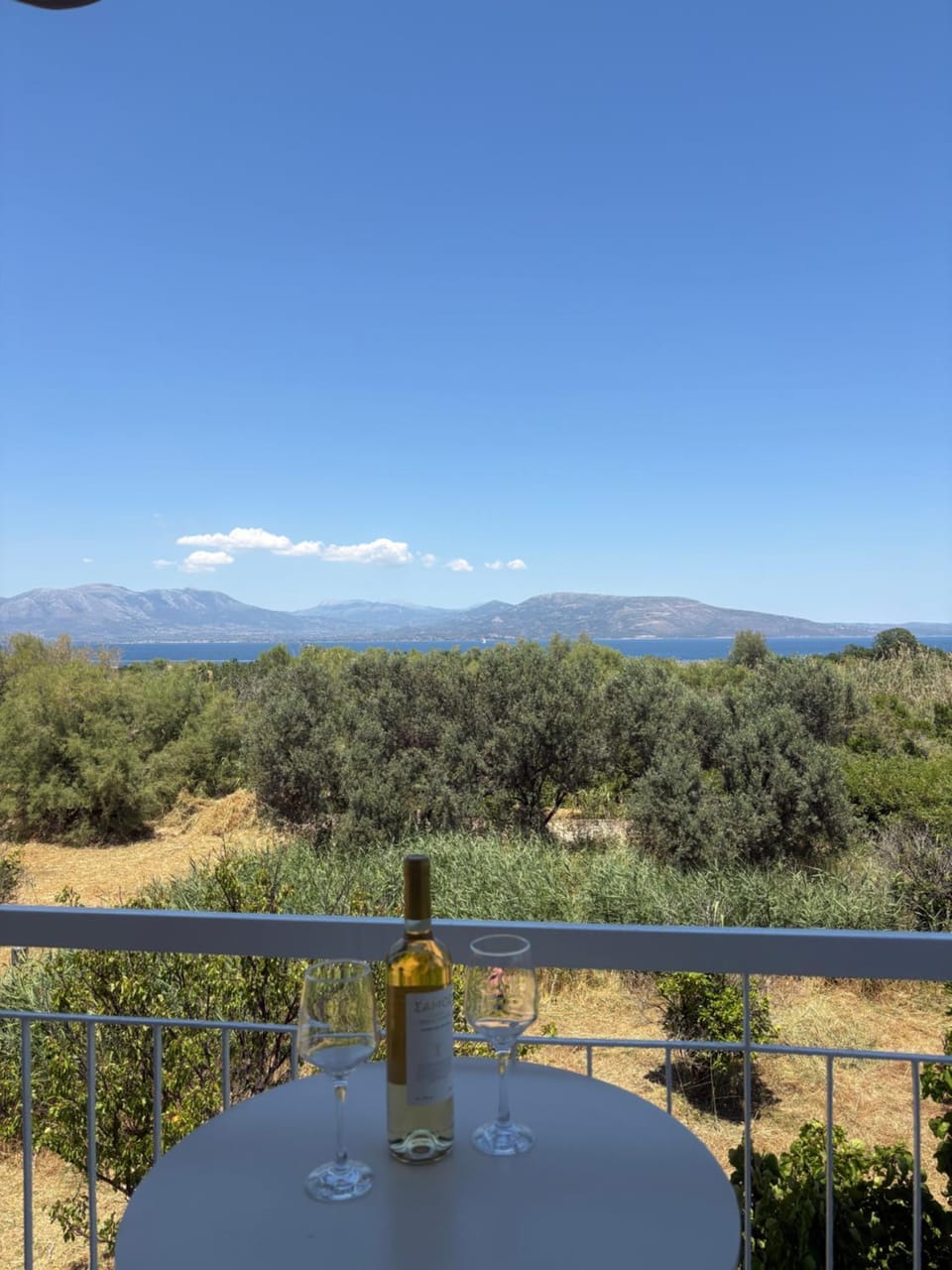 View (from property/room)