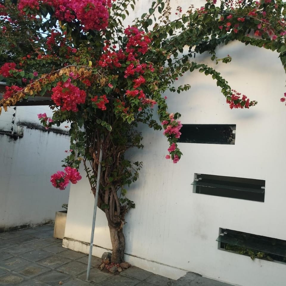 Casa em Campina Grande-PB House in Campina Grande