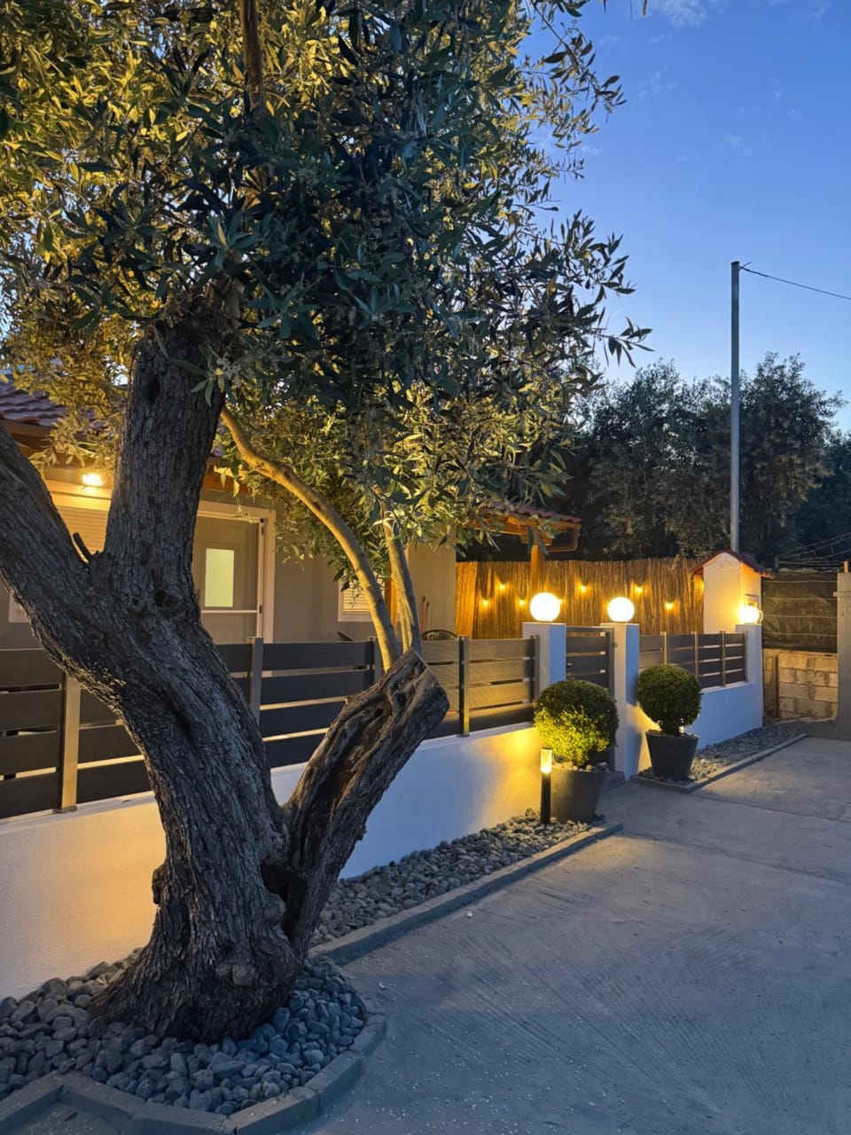 Property building, Day, Night, Garden, Garden view