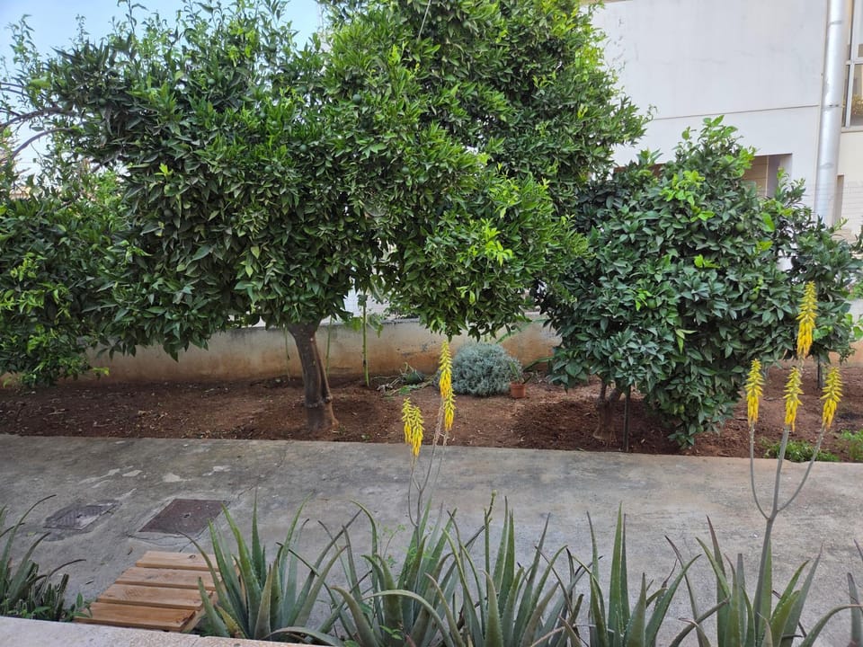 Ground floor Apt with a garden view Apartment in Limassol City