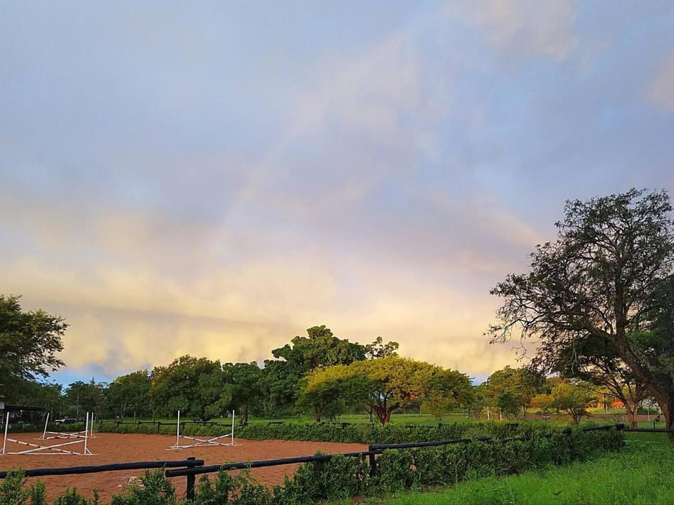 Charming Large Family Room with Private Garden in Polokwane Bed and Breakfast in South Africa