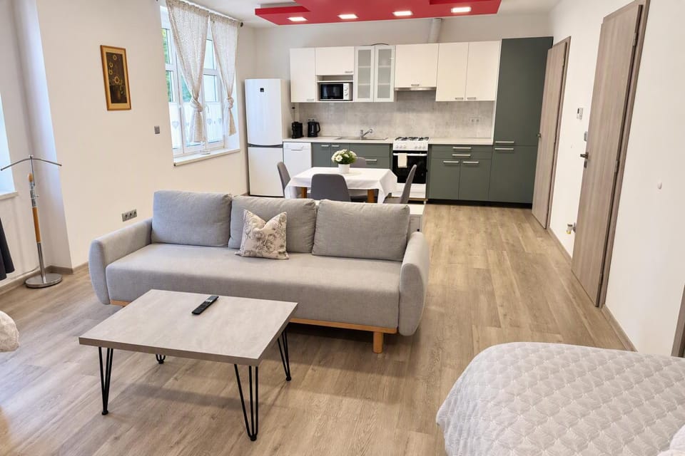 Kitchen or kitchenette, Living room, Seating area, Dining area, oven