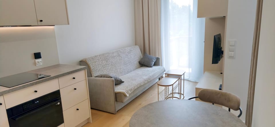 TV and multimedia, Kitchen or kitchenette, Living room, Seating area, Dining area, oven, stove