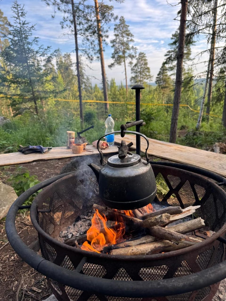 Dome in the dog forest dogs free to roam Turenki Luxury tent in Finland