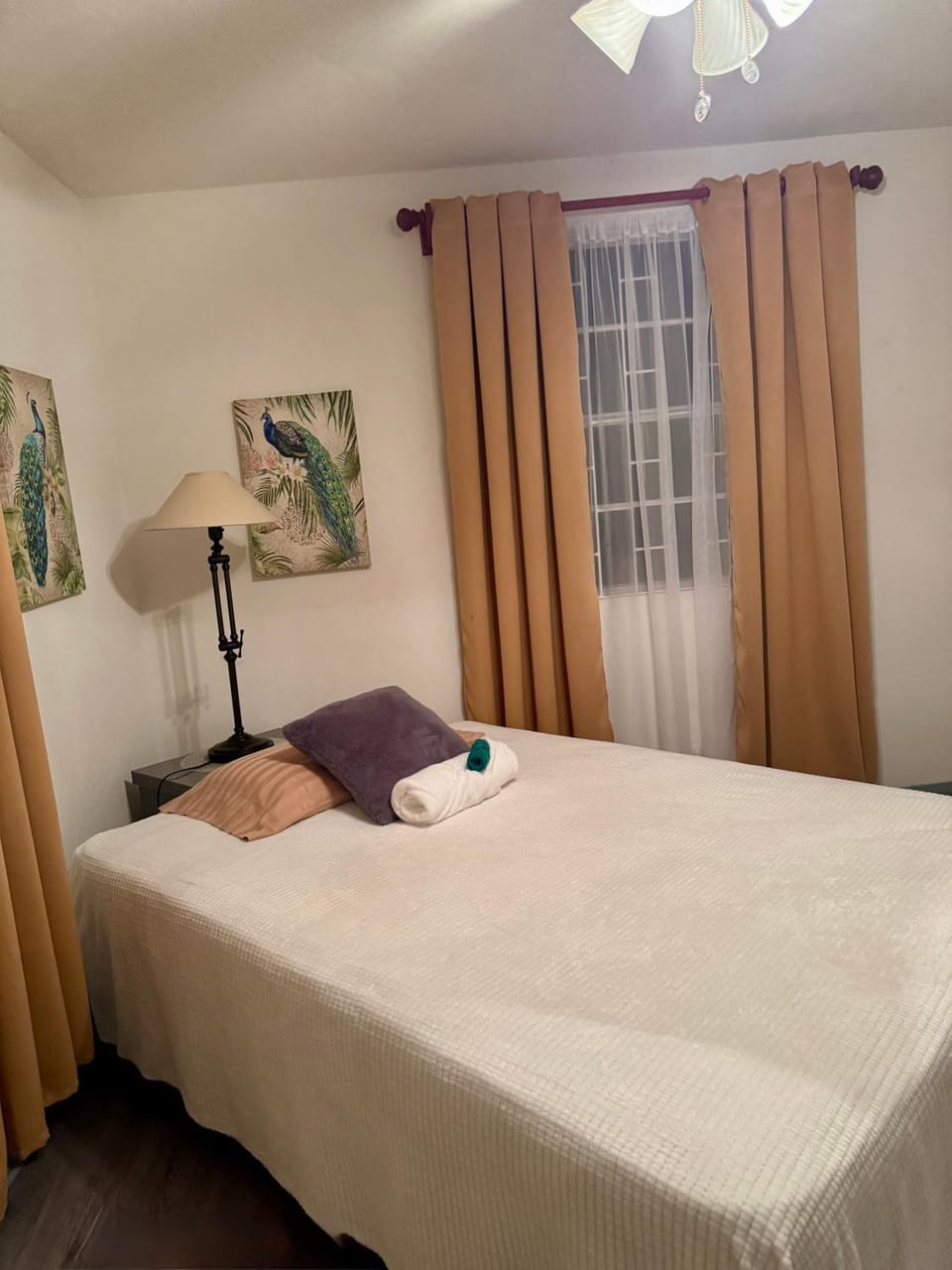 Ocean View 4BR Rooftop Ent 5 Min to Beach House in Barbados