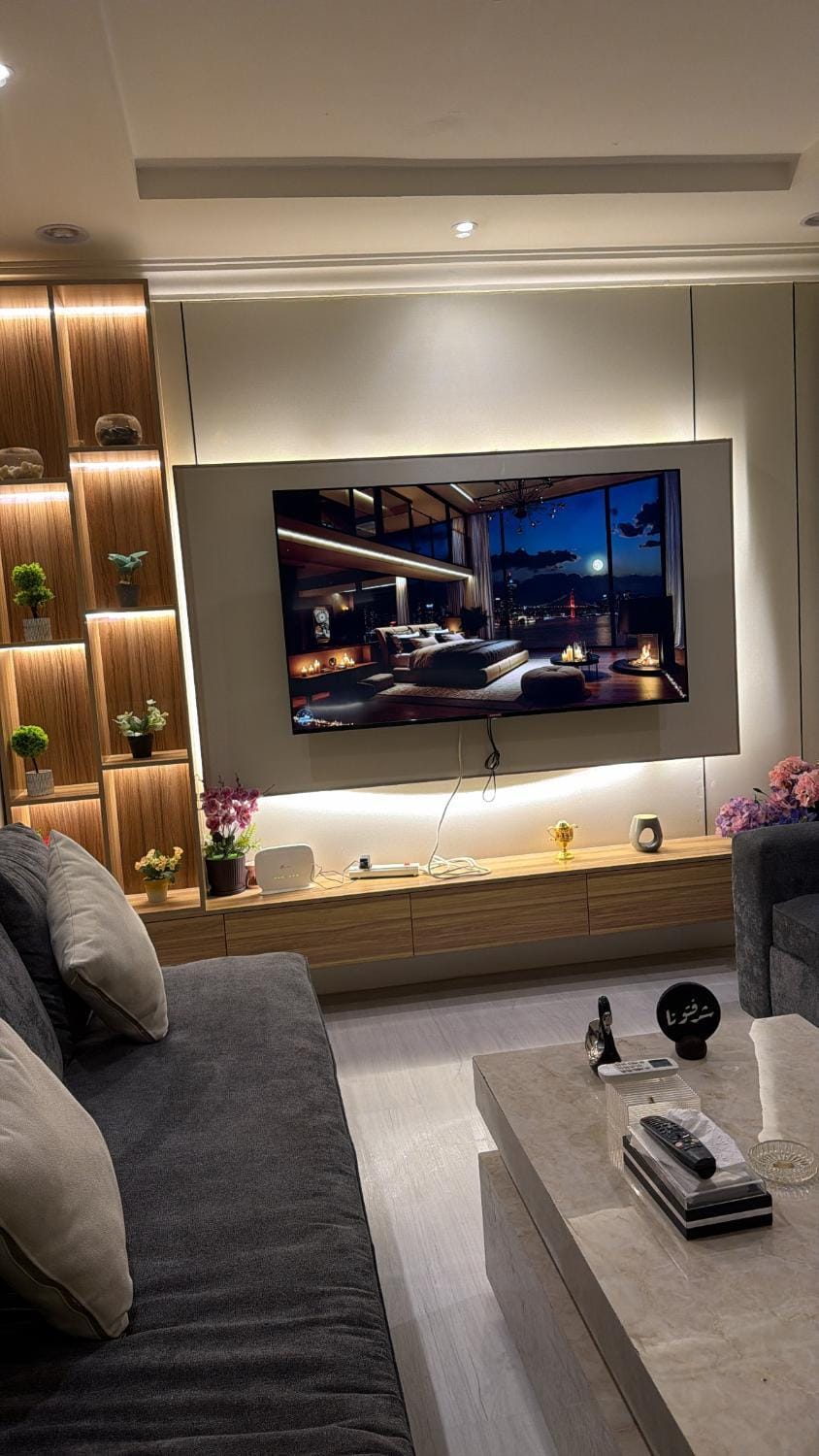 TV and multimedia